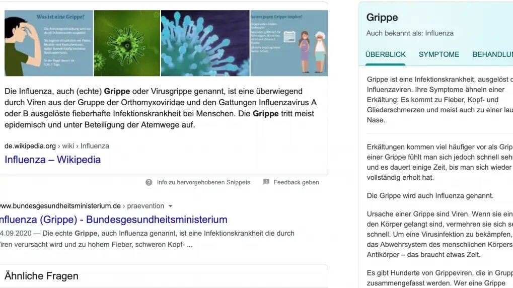 Screenshot Google-Suche für „Grippe“ mit dem Knowledge Panel rechts